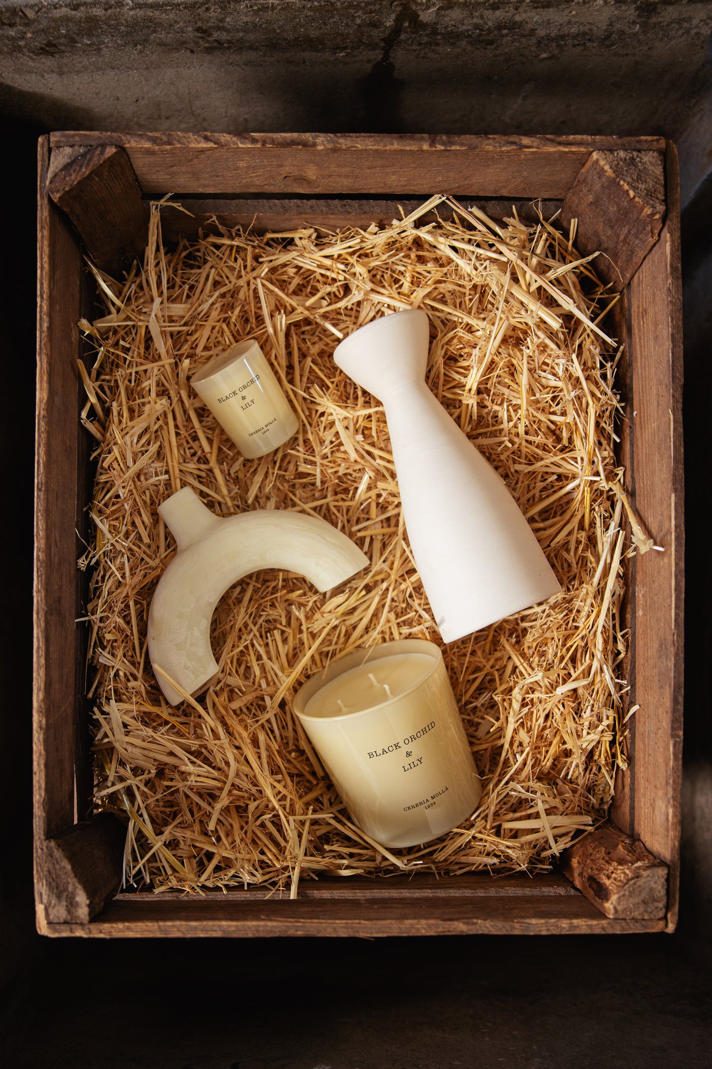 Geurkaars Black Orchid & Lily - Cereria Mollá 1899