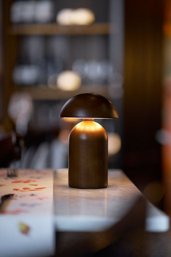 Oplaadbare LED-lampen DUNI