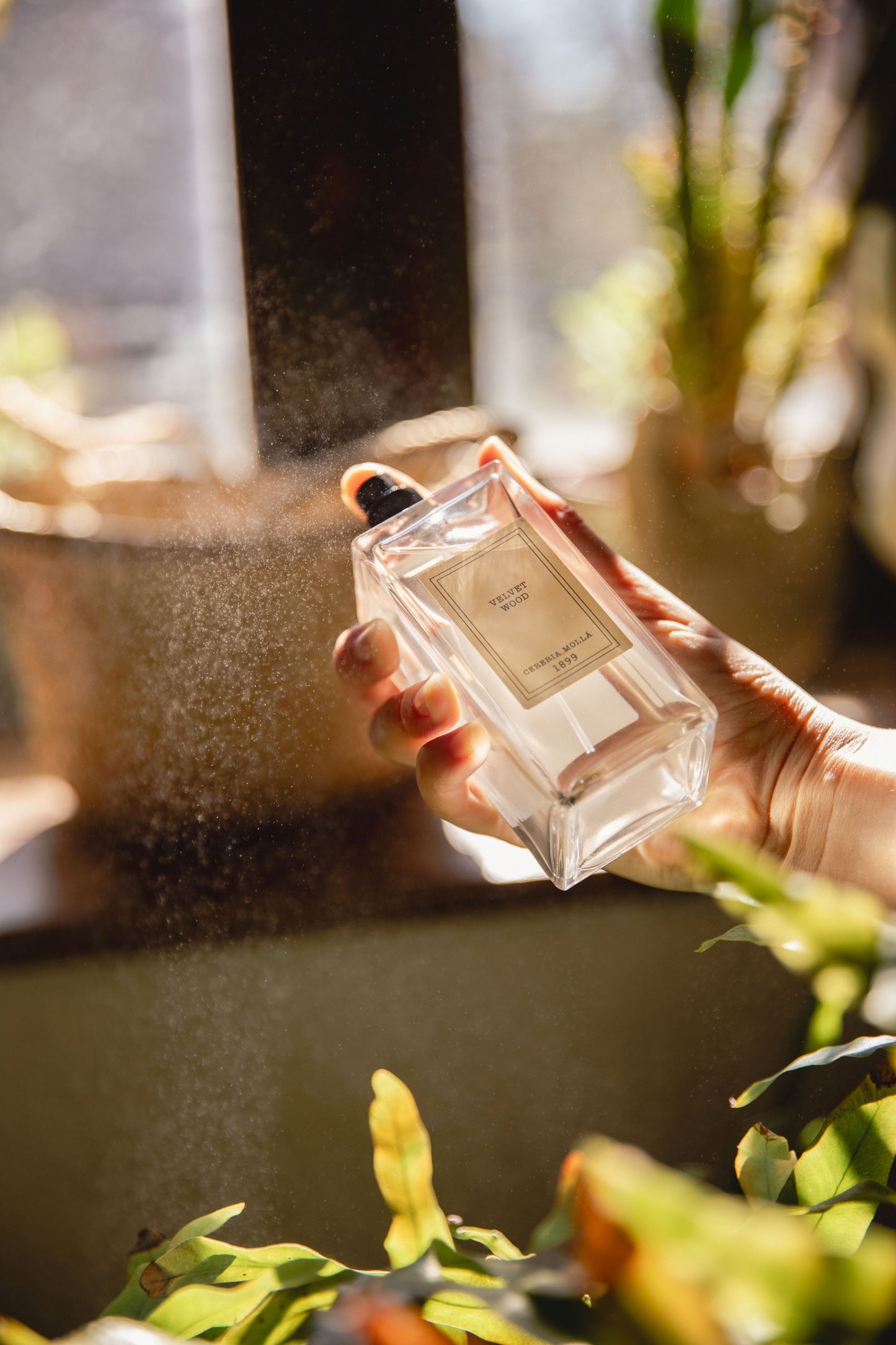 Velvet Wood – Body Mist 100 ml